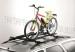     Peruzzo Hold-Bike