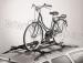     Peruzzo Hold-Bike