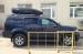 ������������� ���� Thule Motion XL 800 ������-������