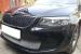    Skoda Octavia A7 Active/Ambition no PTF (  A7 /  ) 2013-.  .