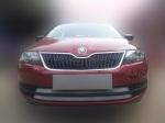    Skoda Rapid ( )  .